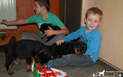 Puppies van Niki & River worden vandaag 5 weekjes.